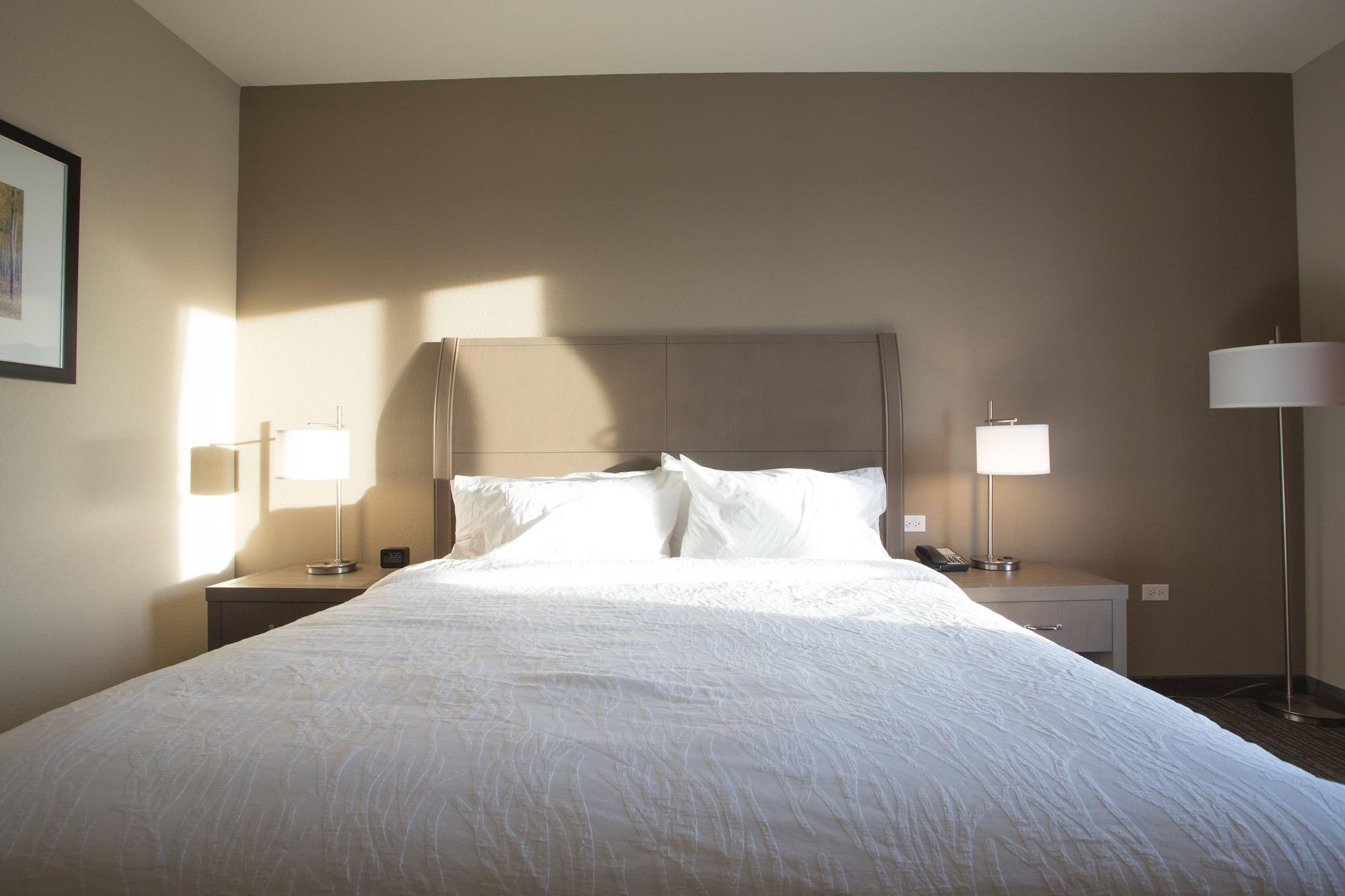Hilton Garden Inn Bolingbrook I-55 Luaran gambar